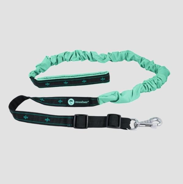 Musher verstellbare Canicrossleine Minze